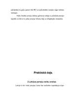 Referāts 'Pensiju sistēma Latvijā', 18.