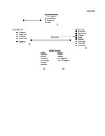 Diplomdarbs 'Emocionālā inteliģence kā viens no personību raksturojošajiem faktoriem sociālaj', 37.