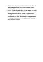 Eseja 'Tehniskās katastrofas', 4.