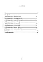 Referāts 'Valsts varas robežu problēma', 2.