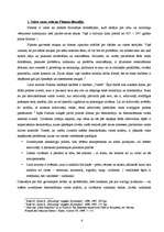 Referāts 'Valsts varas robežu problēma', 4.