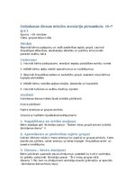 Konspekts 'Dzimšanas dienas svinību scenārijs pirmsskola  (6–7 g.v.)', 1.