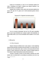 Referāts 'Ēnu ekonomikas novērtēšana LR tautsaimniecībā', 31.