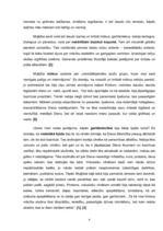 Referāts 'Roterdamas Erasma "Muļķības slavinājums" un tā nozīme viduslaiku pasaules uzskat', 4.