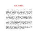 Referāts 'Alternatīvie enerģijas veidi', 9.