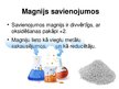 Prezentācija 'Magnijs', 5.