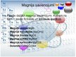 Prezentācija 'Magnijs', 8.