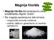 Prezentācija 'Magnijs', 11.