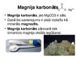 Prezentācija 'Magnijs', 13.