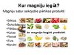Prezentācija 'Magnijs', 17.