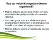 Prezentācija 'Magnijs', 18.