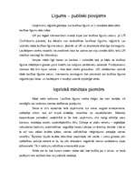 Referāts 'Laulību līgumi', 9.