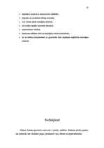 Prakses atskaite 'Prakses atskaite mārketingā', 27.