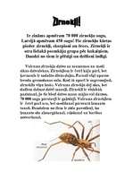 Referāts 'Zirnekļi', 1.