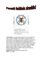 Referāts 'Zirnekļi', 3.