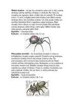 Referāts 'Zirnekļi', 5.