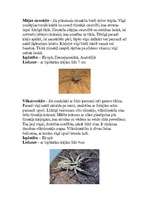 Referāts 'Zirnekļi', 6.