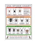 Referāts 'Zirnekļi', 11.