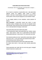 Konspekts 'Grāmatvedības konti, divkāršā ieraksta sistēma', 1.