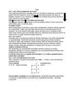 Konspekts 'Tauki', 1.