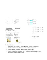 Konspekts 'Tauki', 2.