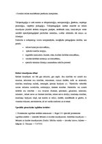 Konspekts 'Bērni ar redzes traucējumiem', 2.