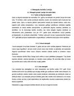 Referāts 'Monopols un tā darbība Latvijā', 9.