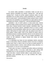 Prakses atskaite 'AAS "Gjensidige Baltic"', 2.