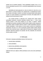 Prakses atskaite 'AAS "Gjensidige Baltic"', 13.