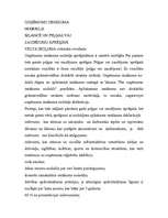 Konspekts 'Uzņēmumu ienākuma nodoklis bilancē un peļņas vai zaudējumu aprēķins', 1.