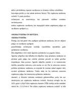 Konspekts 'Uzņēmumu ienākuma nodoklis bilancē un peļņas vai zaudējumu aprēķins', 2.