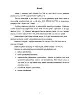 Konspekts 'Praktiskais darbs priekšmetā finanšu sistēma – apdrošināšana. AAS "Seesam Latvia', 4.