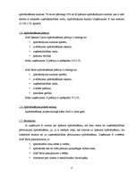 Konspekts 'Praktiskais darbs priekšmetā finanšu sistēma – apdrošināšana. AAS "Seesam Latvia', 12.