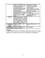 Konspekts 'Praktiskais darbs priekšmetā finanšu sistēma – apdrošināšana. AAS "Seesam Latvia', 14.