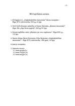 Referāts 'Pamatlīdzekļi', 25.