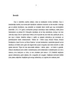 Referāts 'Ievērojamākie baleta mākslinieki', 3.