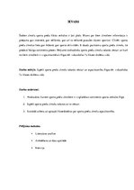 Referāts 'Sporta preču zīmolu atpazīstamība klasesbiedru vidū', 3.