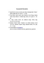 Referāts 'Latviešu leģions un tā politiskais izvērtējums', 11.