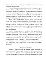 Referāts 'Darba samaksas ietekme uz migrāciju', 7.