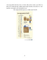 Referāts 'Darba samaksas ietekme uz migrāciju', 12.