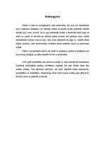 Referāts 'Hidrotehnisko būvju modelēšana', 13.