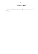 Prakses atskaite 'Prakses atskaite', 13.