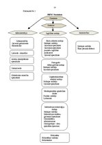 Prakses atskaite 'Prakses atskaite', 14.