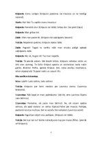 Konspekts 'Rūķu dēlēna Knīpuča piedzīvojumi', 3.