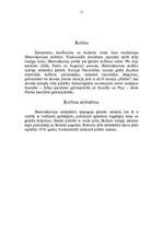 Referāts 'Dienvidkoreja', 11.