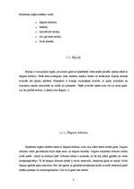 Referāts 'Fiziskās slodzes ietekme uz jauniešu elpošanas orgānu darbību', 4.