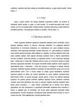 Referāts 'Fiziskās slodzes ietekme uz jauniešu elpošanas orgānu darbību', 9.