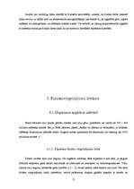 Referāts 'Fiziskās slodzes ietekme uz jauniešu elpošanas orgānu darbību', 13.