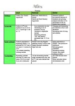Referāts 'Management Planning', 14.