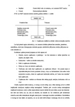 Referāts 'Sabiedrisko attiecību būtība un modeļi', 10.